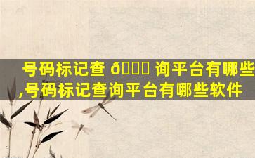 号码标记查 🐛 询平台有哪些,号码标记查询平台有哪些软件
